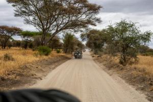 Safari 4×4 vehicle on early morning game drive in Maasai mara, Kenya
